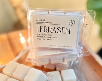 Terrasen Wax Melts Gift for Book Lover, Terrasen Wax Tarts Fall Winter Fragrance, Set of 10