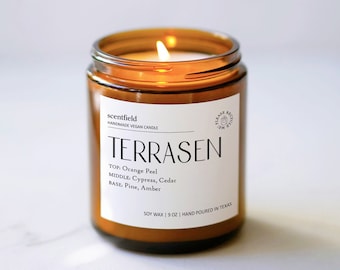 Terrasen Soy Candle: Cypress, Cedarwood & Amber, Book Lover Gift Bookshelf Decor