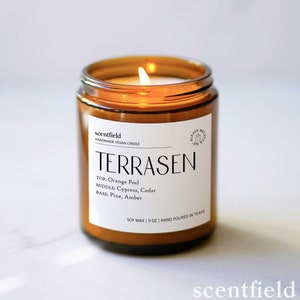 Terrasen Soy Candle: Cypress, Cedarwood & Amber, Book Lover Gift Bookshelf Decor