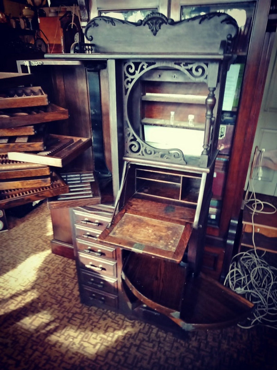 Harvard Dental Specimen Display Etsy