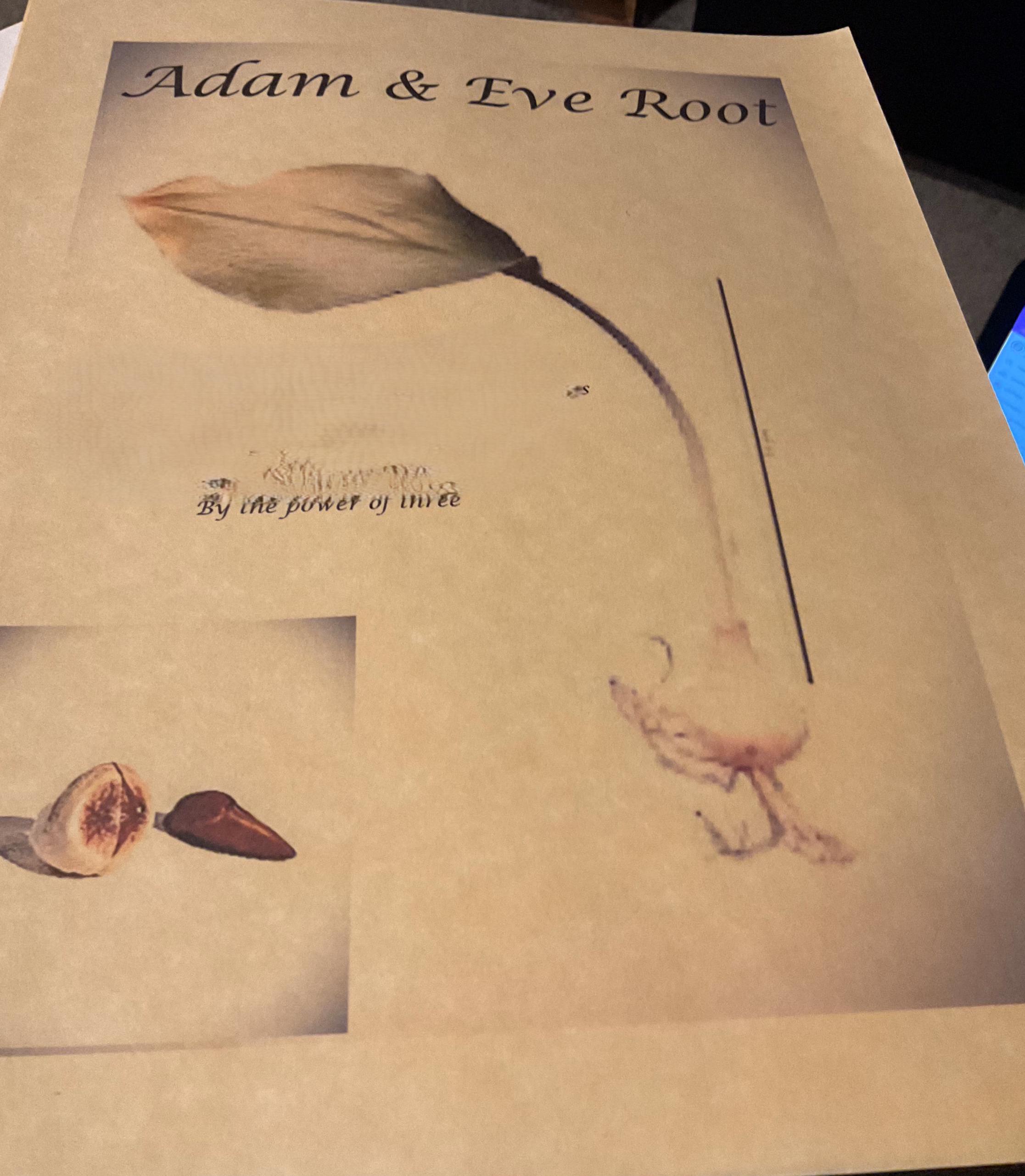 Eve Roots Adam and Eve Root Kit - Etsy
