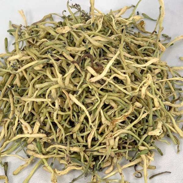 HONEYSUCKLE Flowers .5 oz Wildcrafted (Jin yin hua)