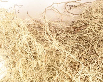 Usnea Lichen wildcrafted .5 oz