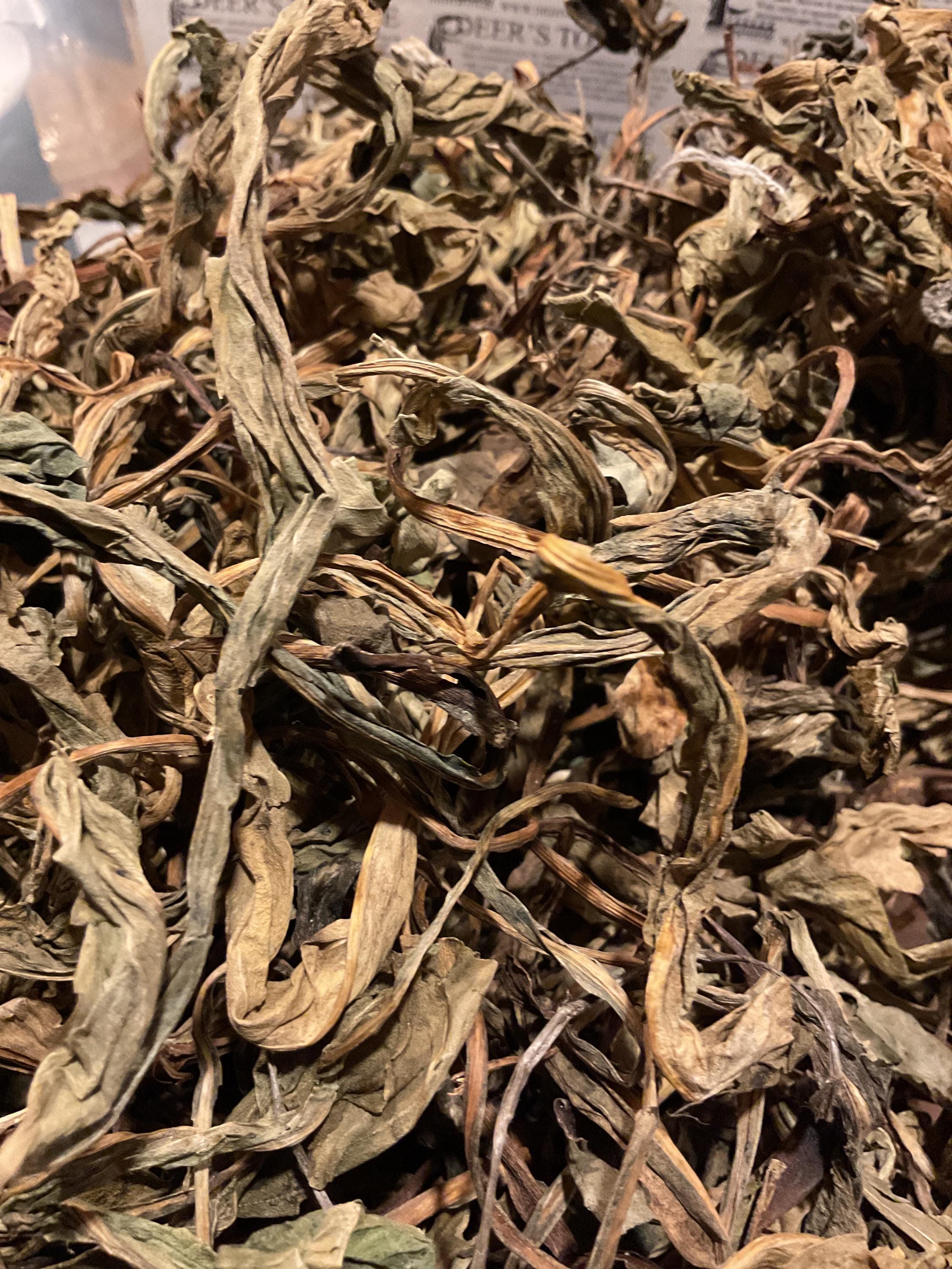 Deer's Tongue Herb Wildcrafted .25 Oz