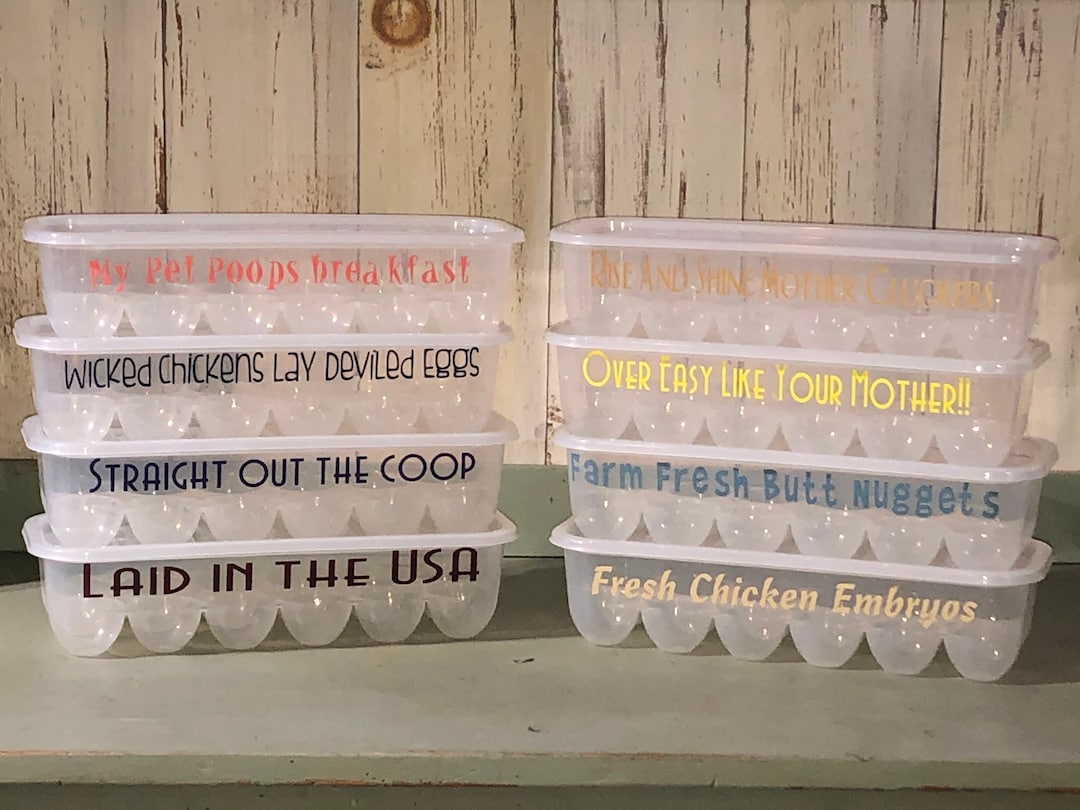 Egg Cartons With Funny Sayings Etsy