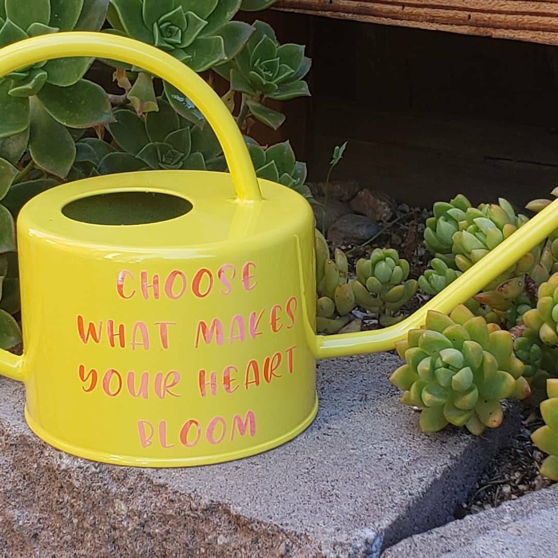 Kleine Gießkanne mit langem Auslauf Gießkanne mit Griff für Etsy