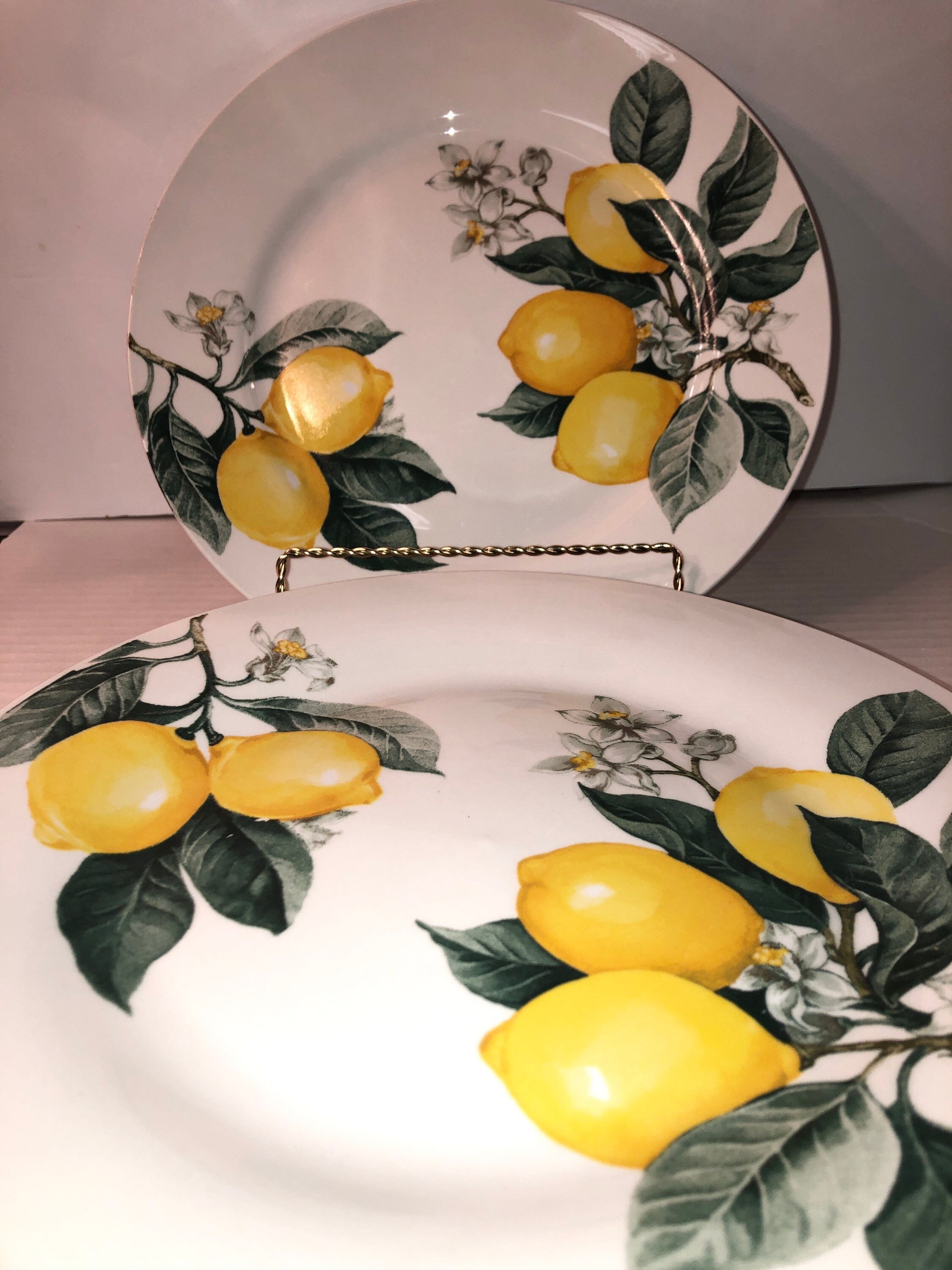 Lemon Ceramic Dinner Plates Set Of 4 Royal Norfolk Plates Etsy