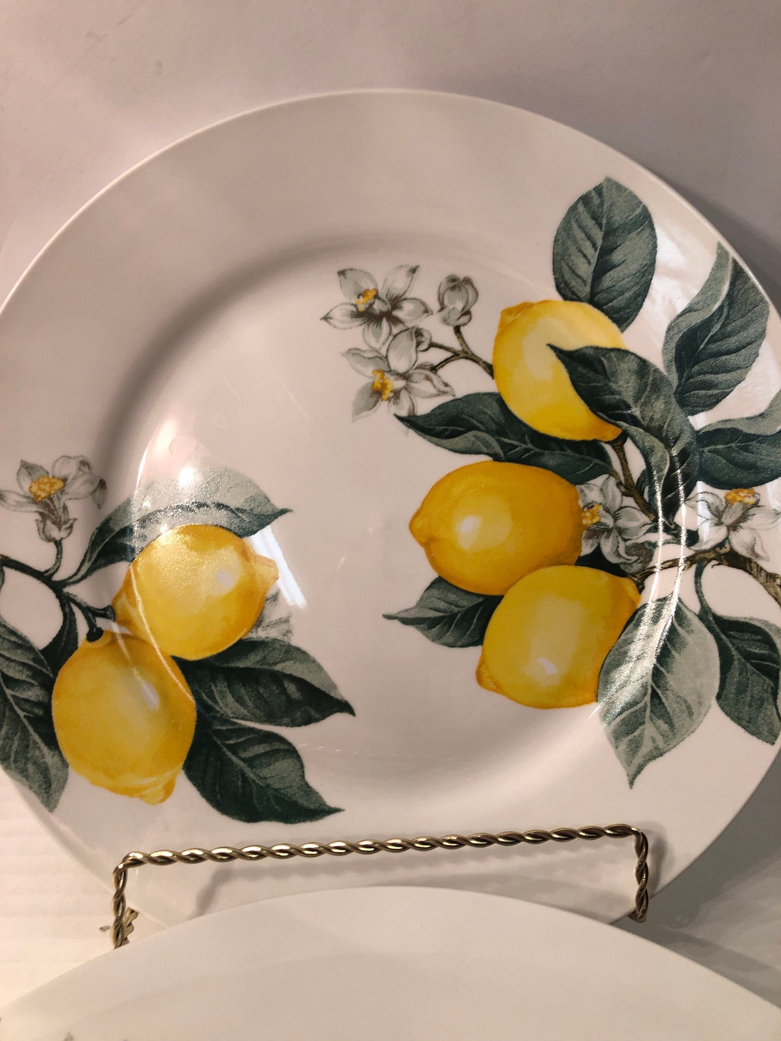 Lemon Ceramic Dinner Plates Set Of 4 Royal Norfolk Plates Etsy