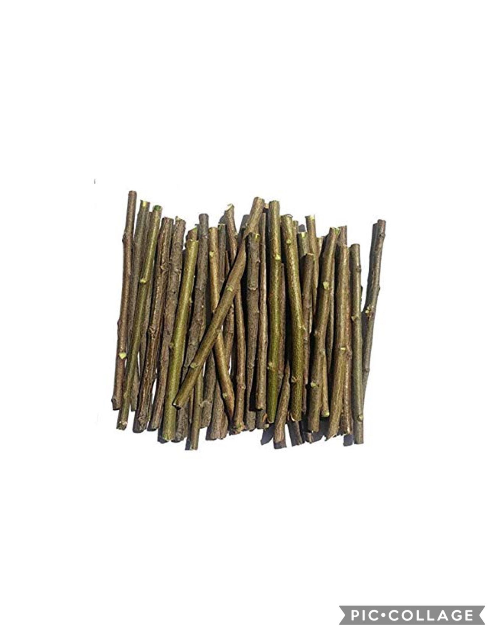 Neem Sticks Neem Datun Toothpaste Organic Neem Toothpaste Etsy