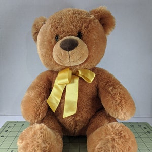 aurora world inc bear