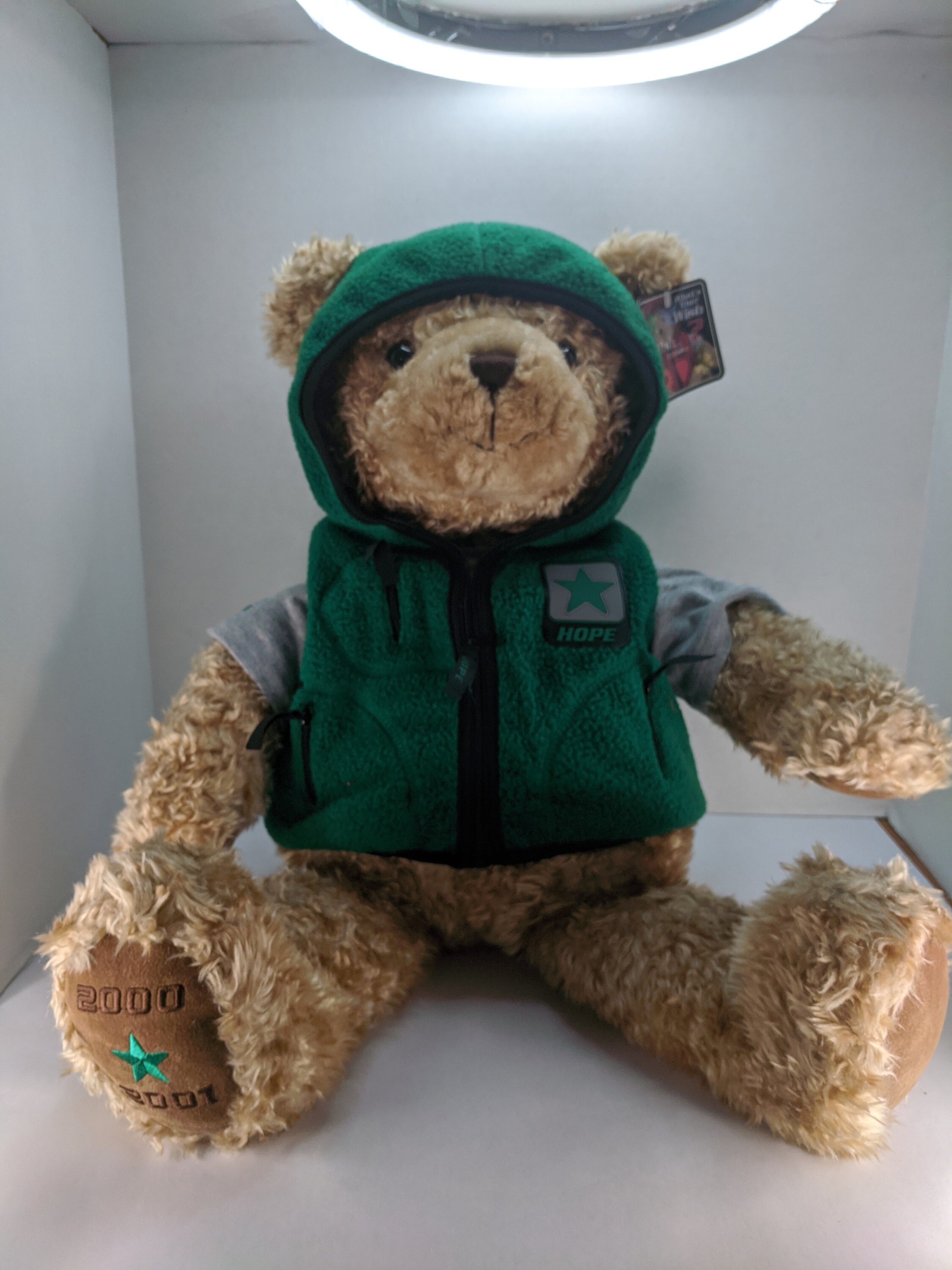 Gund Wish Bear Hope 26 Stuffed Brown 