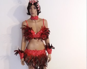 Bikini rojo/rojo de 34 pulgadas, tallas S, M/L, falda de plumas, disfraces de samba, carnaval, show girl, Las Vegas, cabaret, Burning Man.