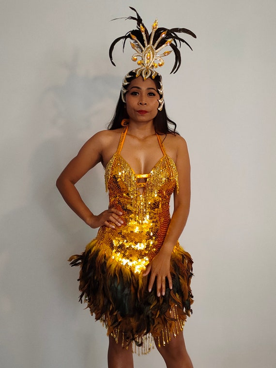 rechtbank redden campus GOUD Pailletten Veren Jurk Samba Kostuums Carnaval Show Girl - Etsy België