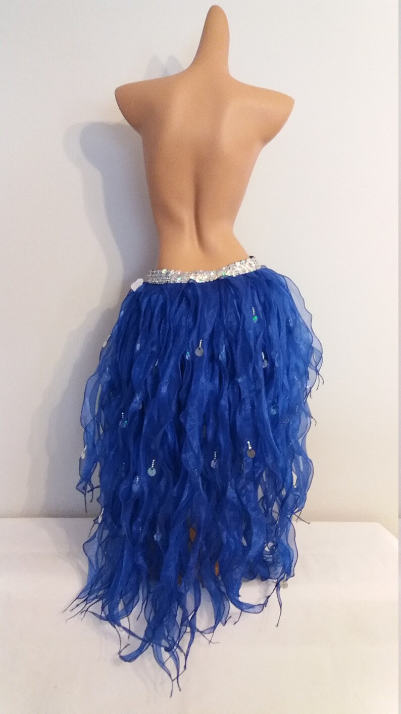 BLUE Organza Skirtsamba Costumes Carnival Show Girl Las Etsy