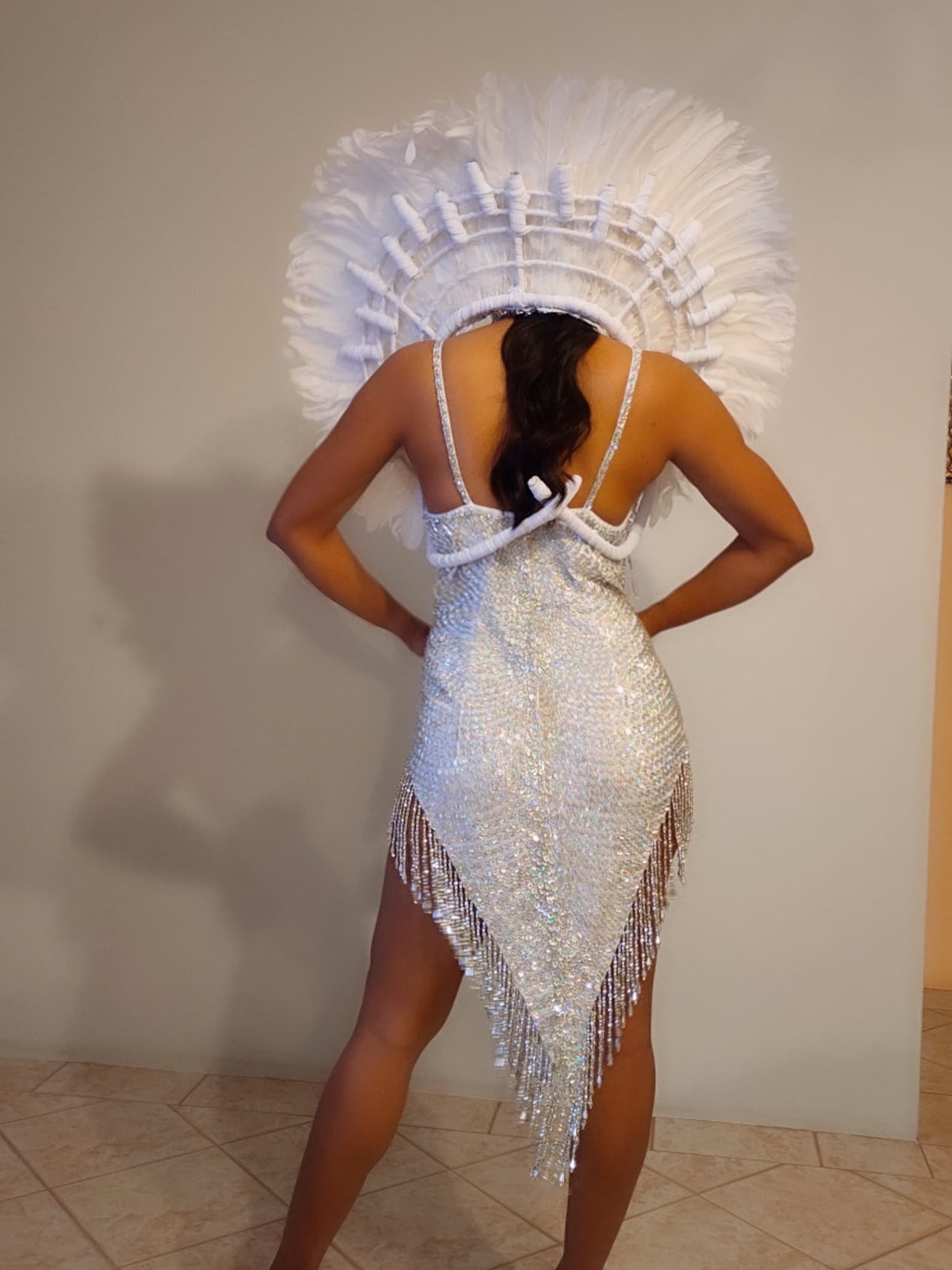 WHITE Crystal Sequin Dress-samba Costumes Carnival Show Girl | Etsy