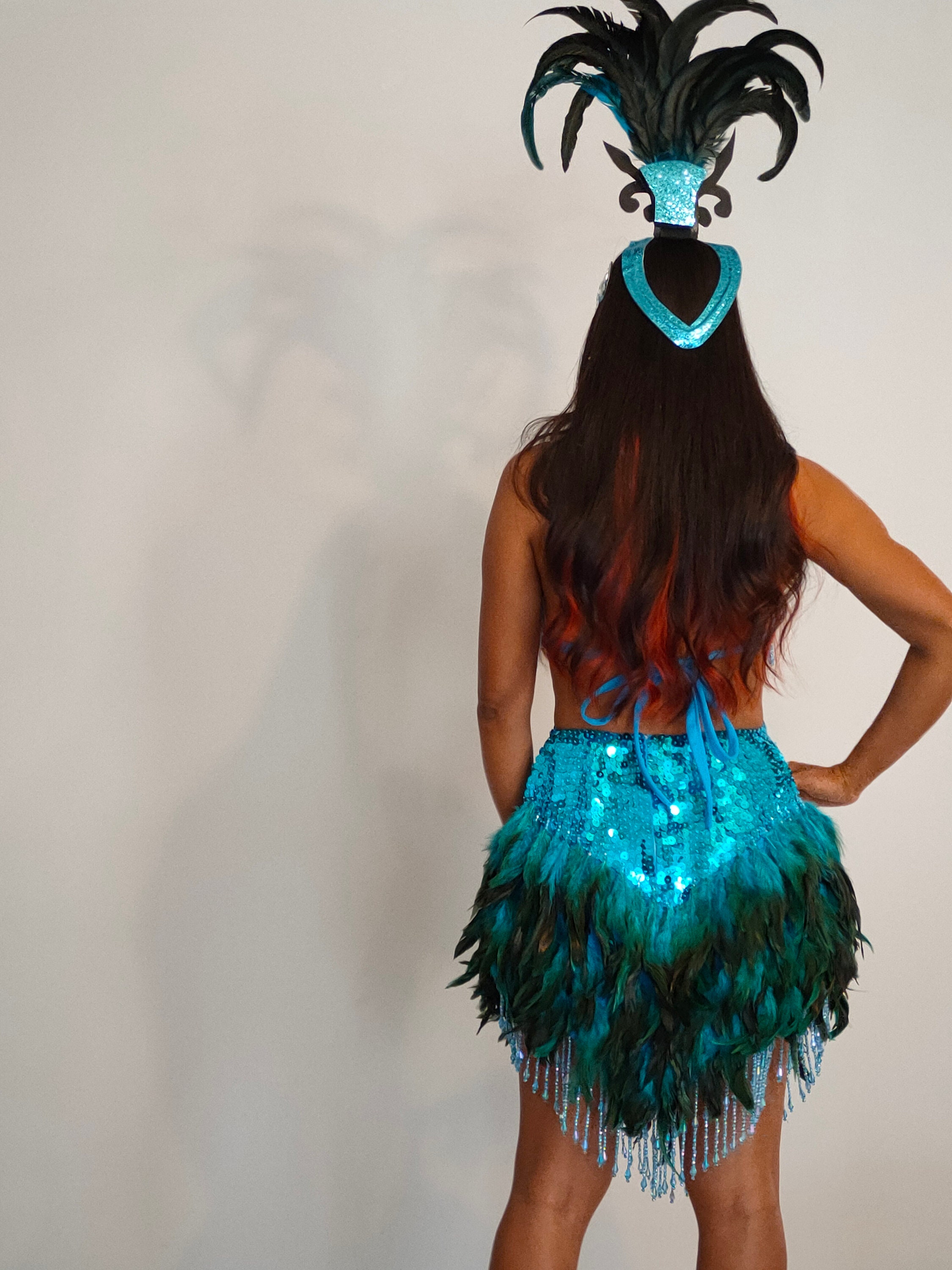 Vestido de plumas de lentejuelas TURQUESA Disfraces de samba Carnival Show  Girl Las Vegas Notting Hill Pride Parade festival School ball Brasil  SkyS-D1-T -  México