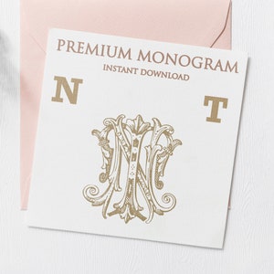 NT TN V.2 Wedding Duogram, Wedding Monogram | Wedding Logo | Invitation Logo | Stationery Letterhead | Home Decor | Family Initials | Crest