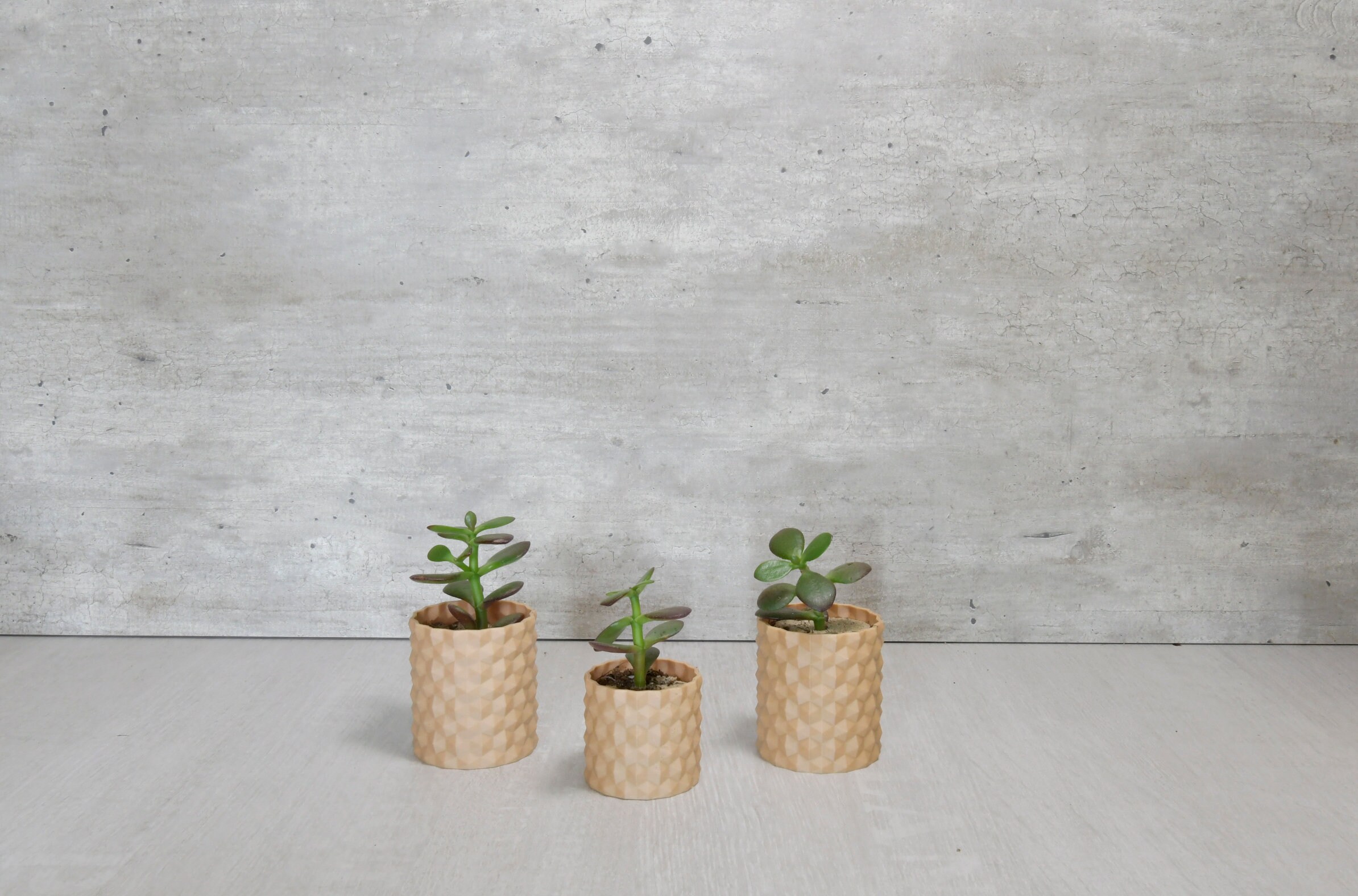 Set de 3 Minis Pots Fleurs - Effet Bois Décoration Intérieure