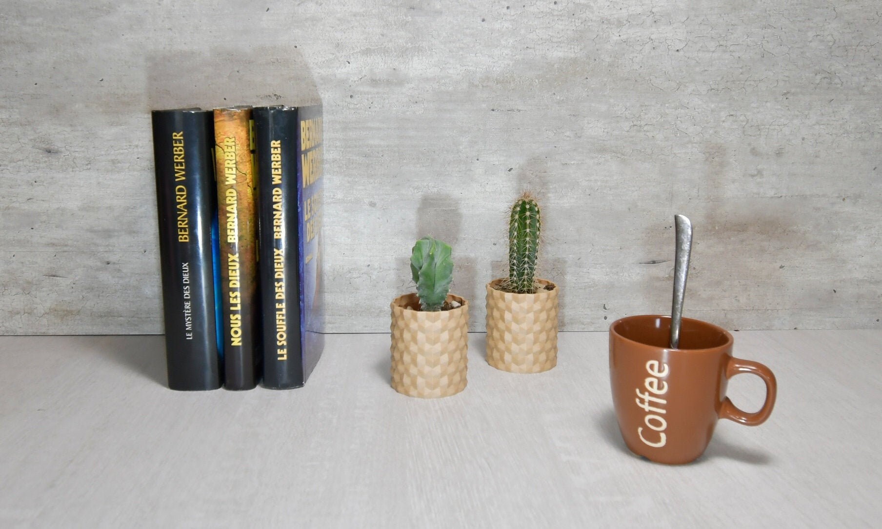 Set de 2 Minis Pots Fleurs - Effet Bois Décoration Intérieure