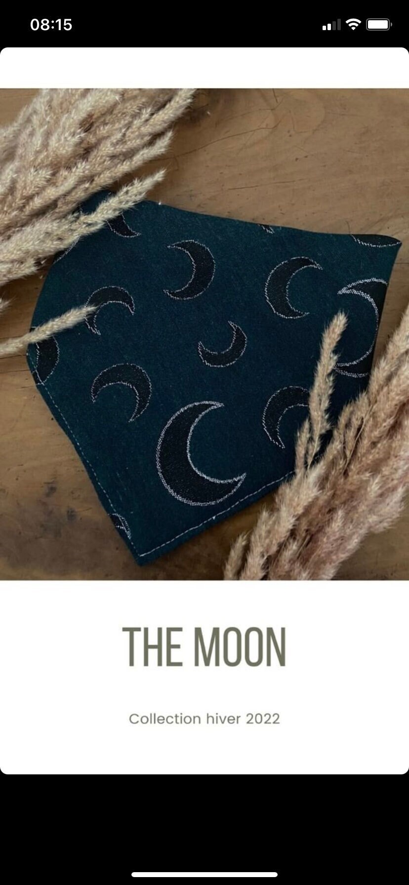 Bandana Chien The Moon