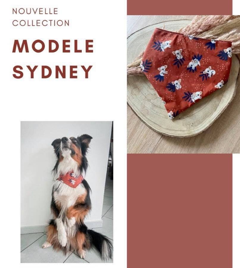 Bandana Chien Sydney