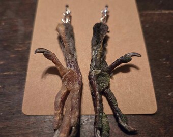 Mummified Pigeon Feet Earrings