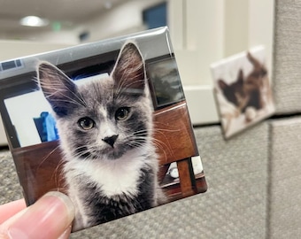6 Pack Customized 2 Inch Pet Square Photo Magnets |  Cubicle Decor | Personalized Gift for Family, Team, Co-workers, Boss