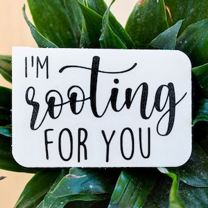 May include: A white card with black lettering that reads "I'm rooting for you." The card is placed on top of a green plant.
