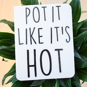 May include: White card with black text that reads "Pot it like it's hot" on a green plant.