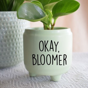 Okay, Bloomer | PANTER DECAL ONLY | Plant Pun