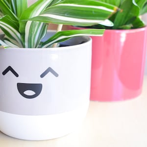 May include: A gray and white ceramic planter with a happy face design. The planter is filled with a green plant with white stripes.