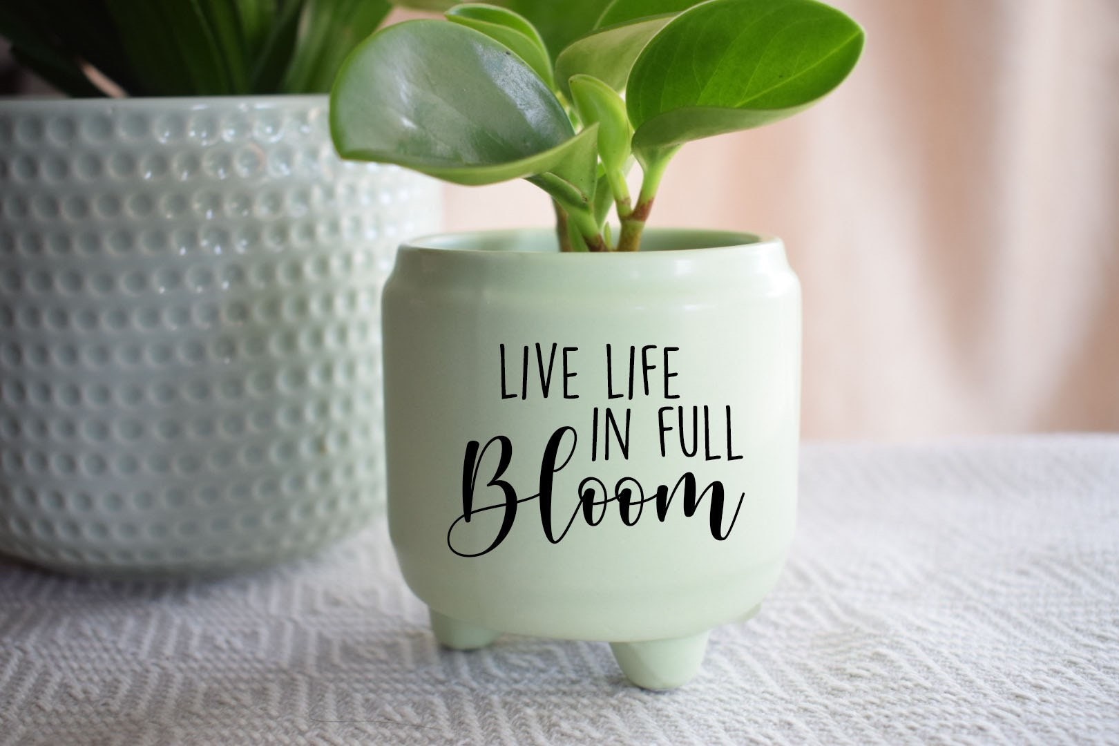 Live Life in Full Bloom PLANTER DECAL ONLY | Great to Customize Your ...