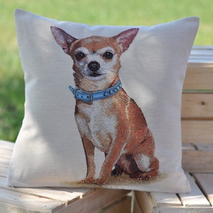 Linge pour chihuahua shop