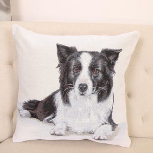 Peut inclure: Un oreiller blanc avec un chien border collie noir et blanc couché dessus. Le chien regarde directement la caméra.