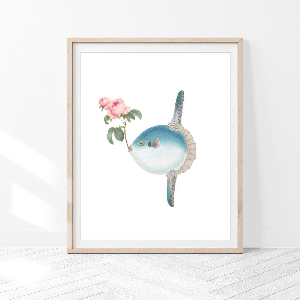 Rock Bass Walleye Bluegill Sunfish Art Print, Freshwater Fish