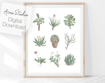 Succulent print, Digital Download, Printable Wall Art, Cactus print, Digital, Poster, cactus print download, Boho Print, succulent plants
