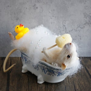 Taxidermy Mouse in bathtub, unique, cute, novelty, oddities, curiosity, quirky, unique, handmade, different, fun, special gift. image 1