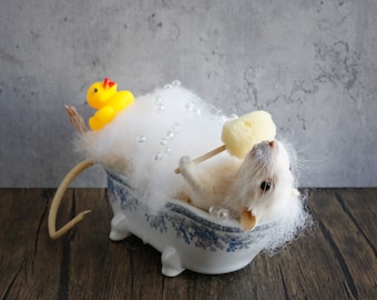 Taxidermy Mouse in bathtub, unique, cute, novelty, oddities, curiosity, quirky, unique, handmade, different, fun, special gift.