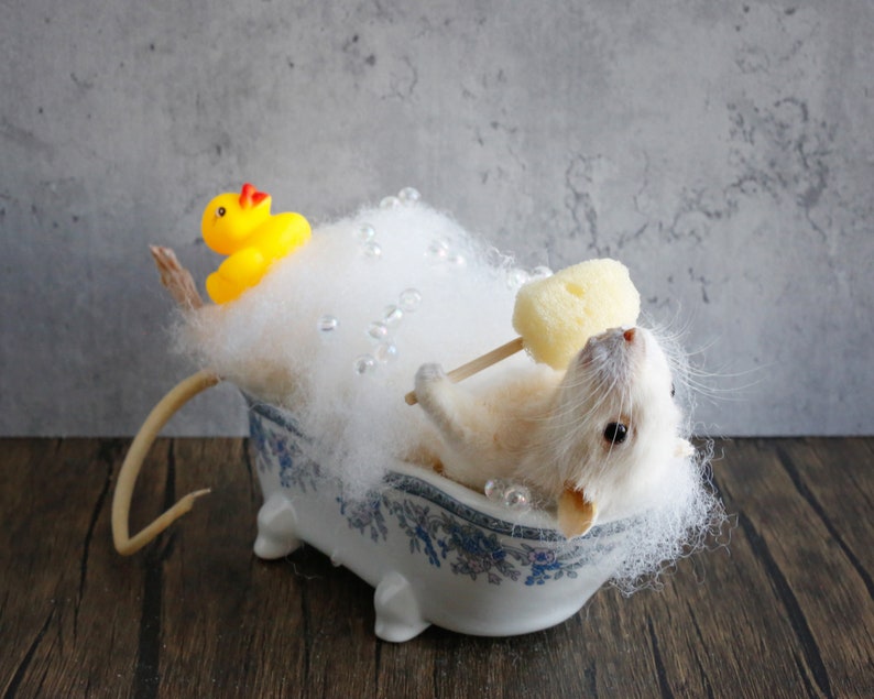 Taxidermy Mouse in bathtub, unique, cute, novelty, oddities, curiosity, quirky, unique, handmade, different, fun, special gift. image 1