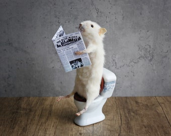 ピンクのワインボトルを持った剥製のネズミ。ユニーク、かわいい、斬新