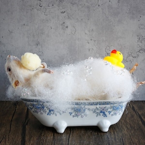 Taxidermy Mouse in bathtub, unique, cute, novelty, oddities, curiosity, quirky, unique, handmade, different, fun, special gift. image 2