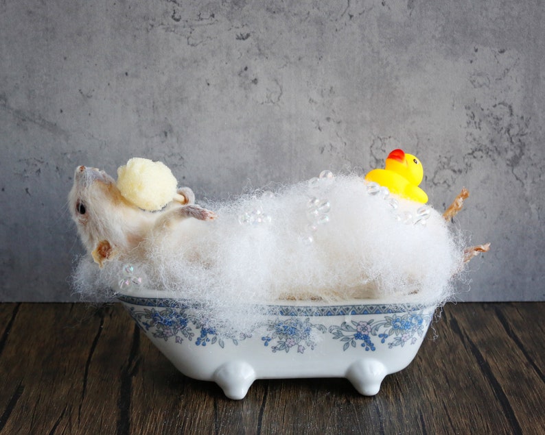Taxidermy Mouse in bathtub, unique, cute, novelty, oddities, curiosity, quirky, unique, handmade, different, fun, special gift. image 2