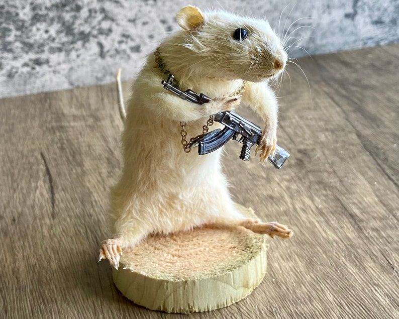 Taxidermy Rodent gangster machine gun , curiosity, novelty, unique, handmade, macabre, oddity, present, oddity, unusual, bizarre, different.