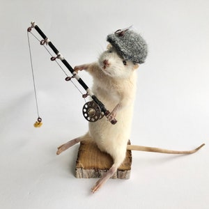 Taxidermy fishing mouse, unique, cute, novelty, oddities, curiosity, quirky, unique, handmade, different, fun, special gift. for him, funny