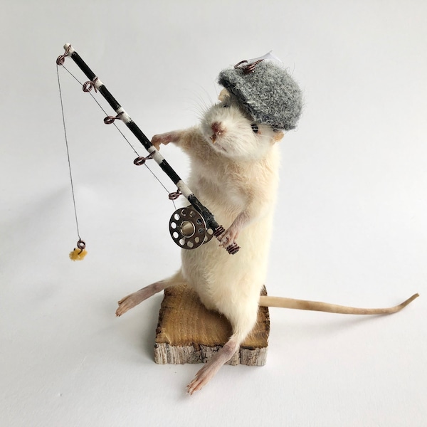 Souris pêche à la taxidermie, unique, mignonne, nouveauté, bizarreries, curiosité, originale, unique, faite main, différente, amusante, cadeau spécial. pour lui, drôle