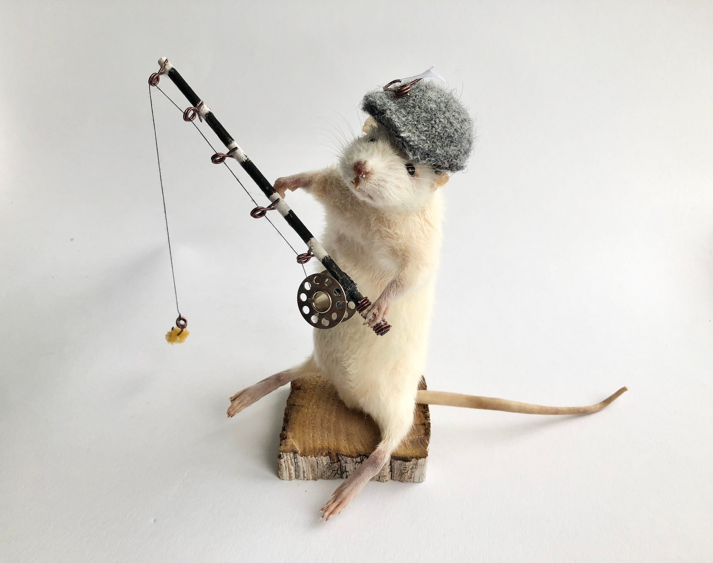 Taxidermy Fishing Mouse, Unique, Cute, Novelty, Oddities, Curiosity,  Quirky, Unique, Handmade, Different, Fun, Special Gift. for Him, Funny 