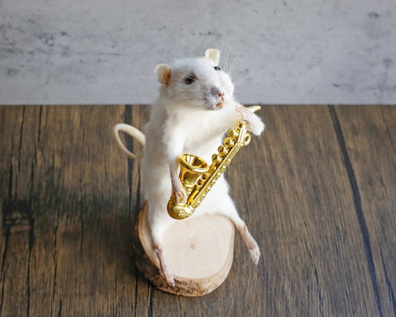 A taxidermied mouse posed playing a tiny saxophone — peak cabinet-of-curiosities energy with 238 favorites backing up the 'wait, WHAT?' reaction.