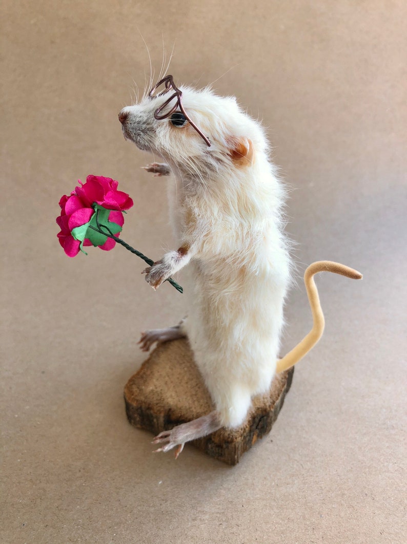 Taxidermy Mouse With Pink Flower Bouquet and Glasses