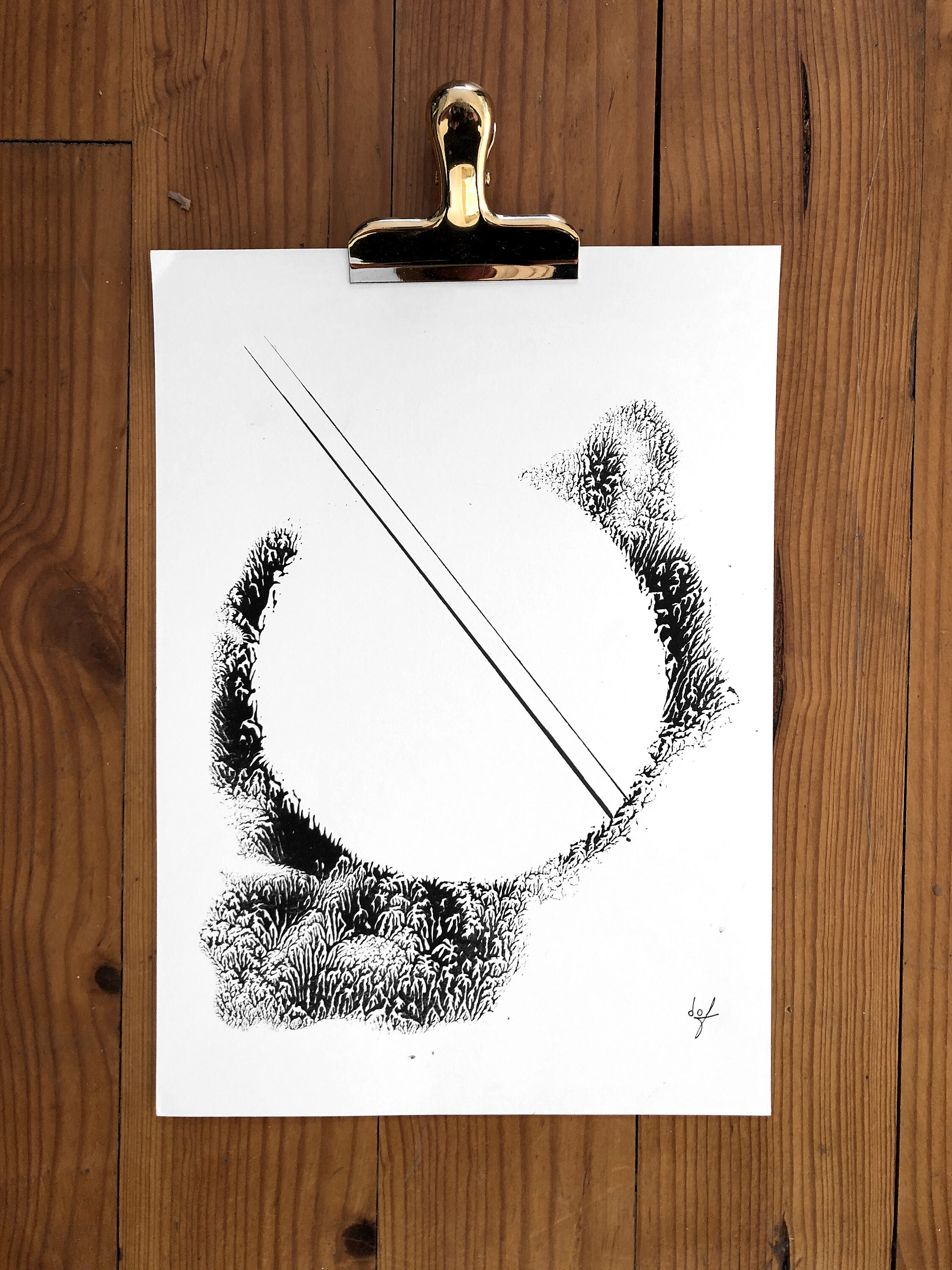 Illustration Abstraite Série Fractale/ Formes Organiques/Noir et Blanc