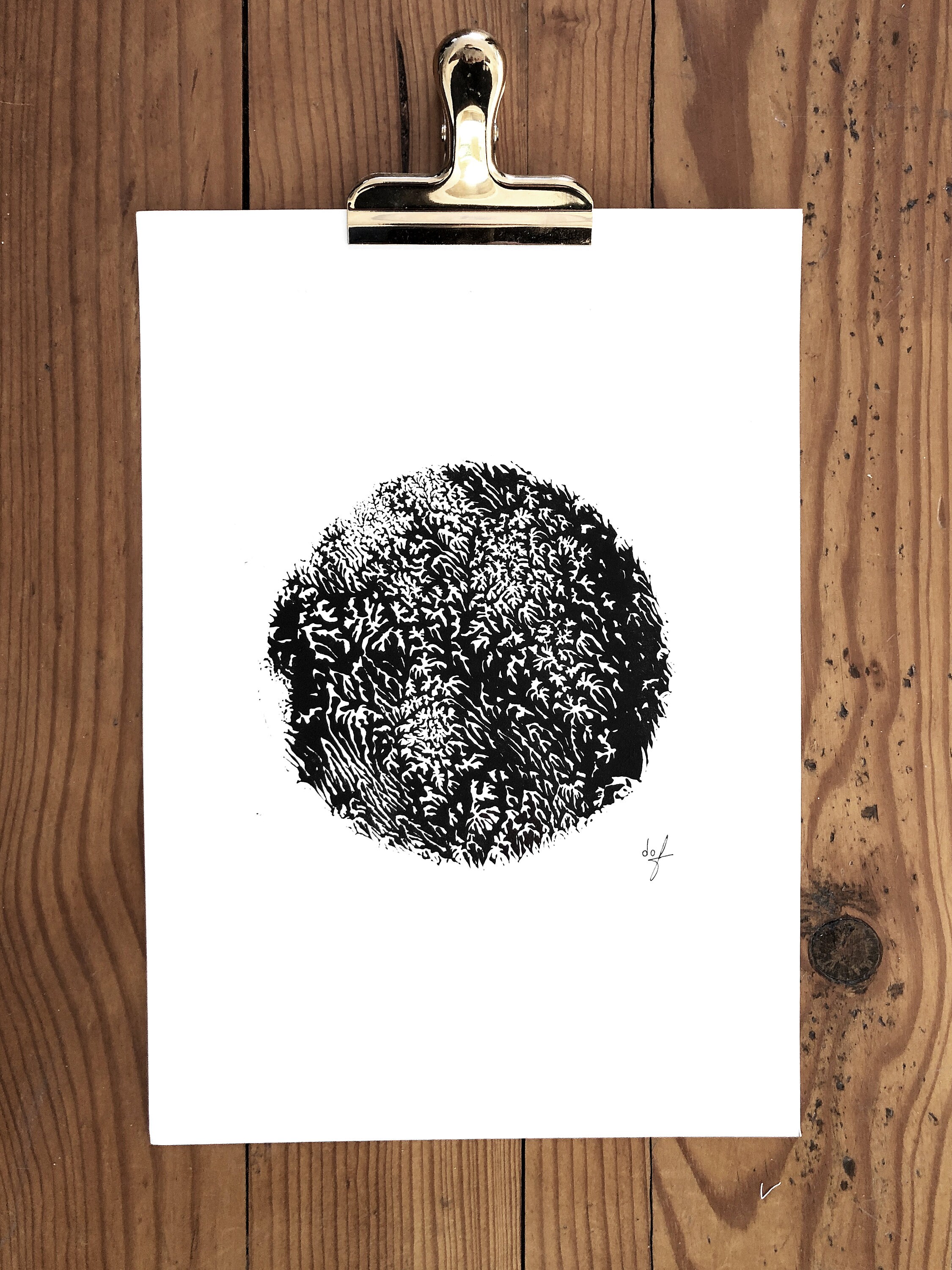 Illustration Abstraite Série Fractale/ Formes Organiques/Noir et Blanc